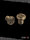 Proflex - Logo Plugs Messing