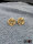 Proflex - Logo Plugs Messing