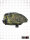 CRBN DRV Loader 200 - GRX Camo