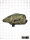 CRBN DRV Loader 200 - GRX Camo