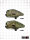 CRBN DRV Loader 200 - GRX Camo