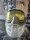 JT Spectra Proflex – Build Revo2 Olive Clear Superdead